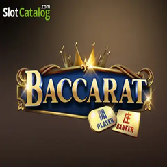Baccarat C08 cv9996